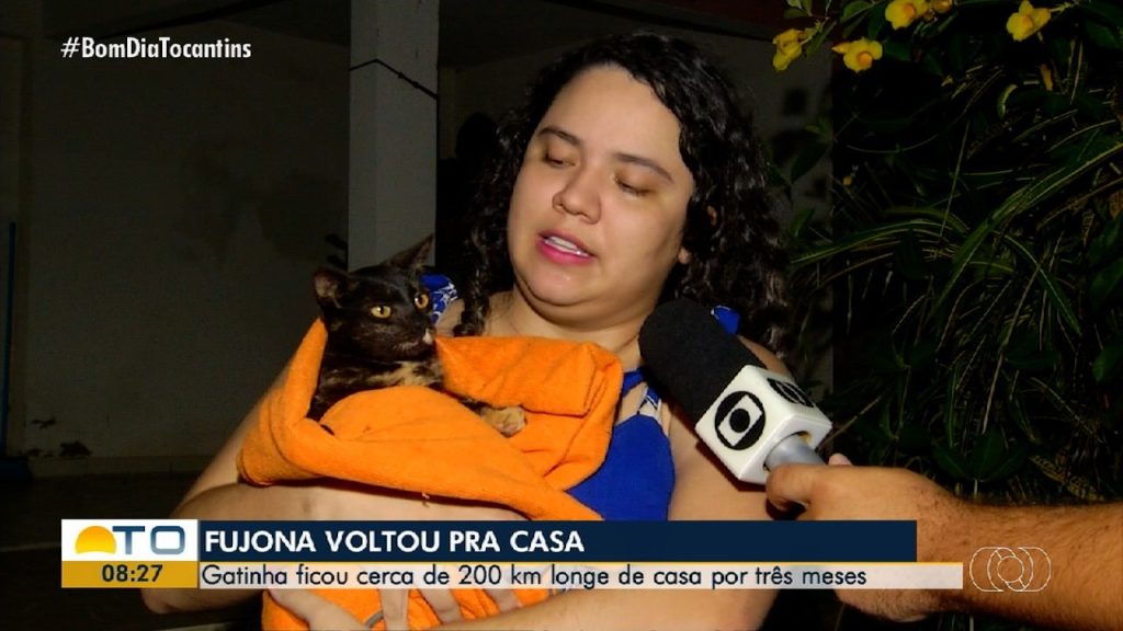 Gata desaparece em posto a 200 km de casa e volta sozinha três meses depois: ‘Foi uma surpresa’, diz família