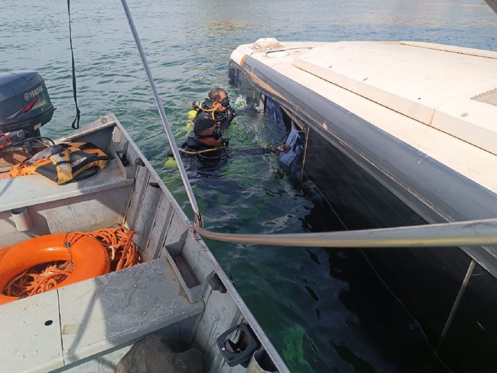 Motorista preso após ônibus de turismo cair no rio Tocantins é solto pela Justiça