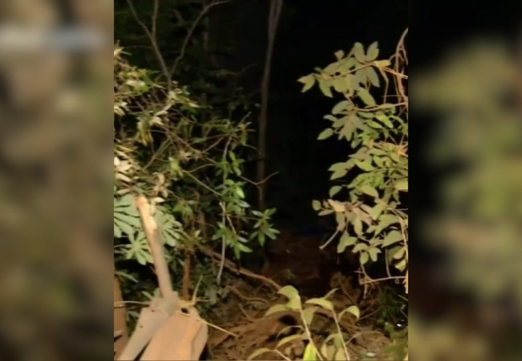 Trabalhador que morreu em acidente na curva de serra em Taquaruçu é identificado